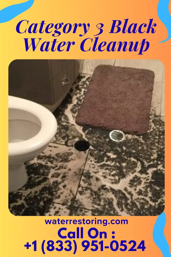 Category 3 Black Water Cleanup in Gretna, LA