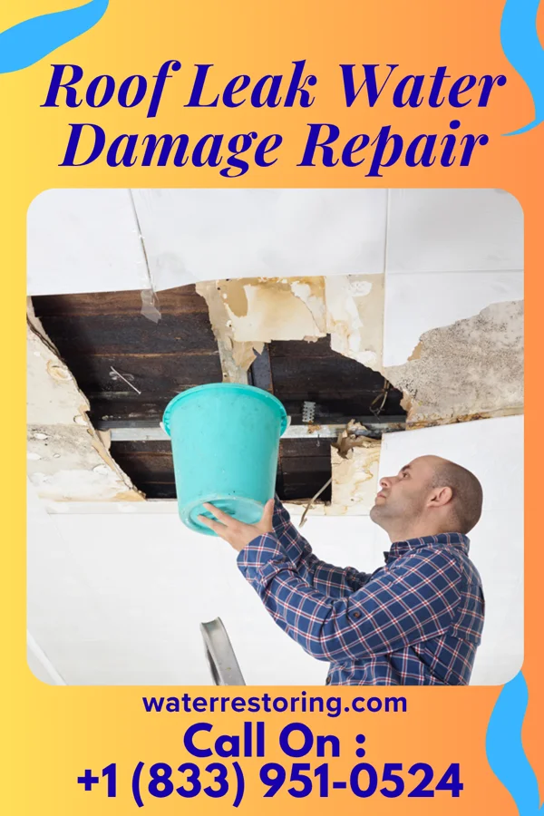 Roof Leak Water Damage Repair in Gretna, LA